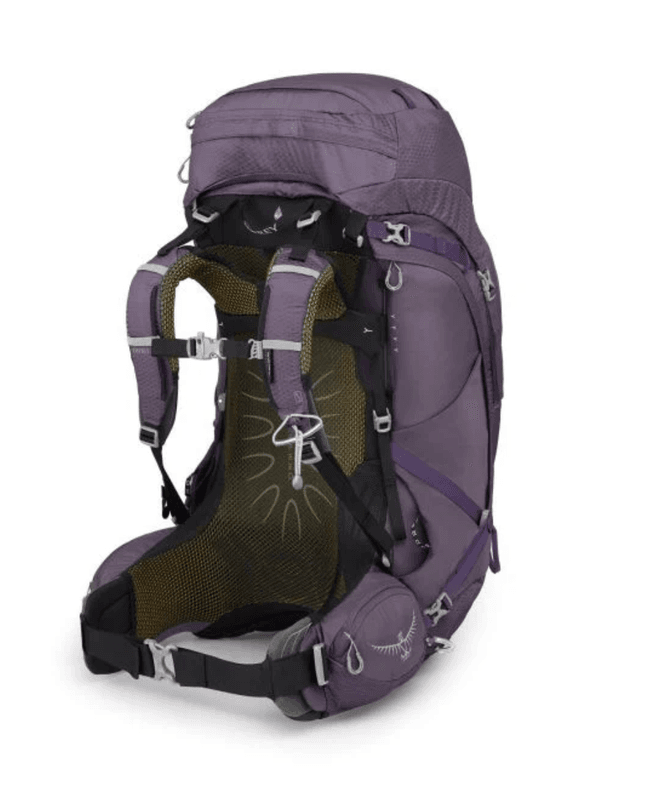 Osprey Aura AG 65 Enchantment Purple Wmn